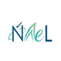 Naini Aerospace Limited (NAel)