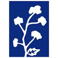 Cotton Corporation Of India Ltd (CCI)